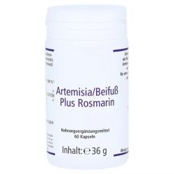 Артемизинин 150 мг капс. 60шт в Нальчике и области фото