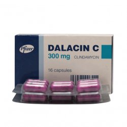 Далацин Ц капсулы 300мг N16 в Нальчике и области фото