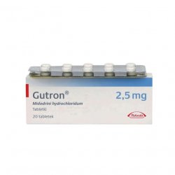 Гутрон таблетки 2,5 мг. №20 в Нальчике и области фото